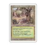 CCG Поле битвы в Хэвенвуде (U), MTG - 5th Edition - фото