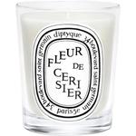 Свечи и восковые пластины Diptyque - фото