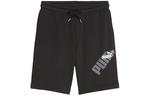 Power Graphic 9 повседневные шорты мужские черные Puma, черный - фото