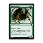 CCG Страж-паук (С), MTG - Eternal Masters - фото