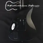 Schecter - Ernie C - Электрогитара C-1 - Черное покрытие Reign Satin - фото 6