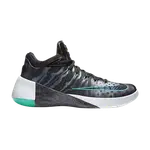 Кроссовки Nike Hyperdunk 2015 Low Limited, черный - фото