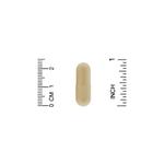 Organic India, амла, 90 вегетарианских капсул - фото 4