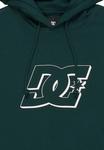 Худи DC Shoes HAMPDEN, Gtp Ponderosa Pine/Green - фото 3