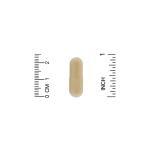 Organic India Amla 90 Vegetarian Caps - фото 3