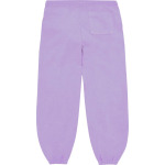 Спортивные брюки Sp5der Açaí Sweatpant Purple, фиолетовый - фото 2