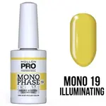 Mol Monophase 19 - 10ml Mollon Pro - фото