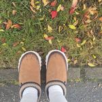 Кроссовки UGG Venture Daze, коричневый