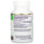 Paradise Herbs, Гиностемма, 60 вегетарианских капсул - фото 3