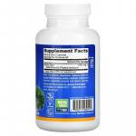 Мастиковая смола Jarrow Formulas, 120 капсул - фото 3