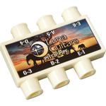 Комплект акустической гитары Luna Guitars Gypsy Muse - фото 5