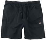 Шорты Dickies Pelican Rapids, черный - фото