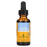 Herb Pharm, Подорожник, свежий лист, 1 жидкая унция (30 мл) - фото 2