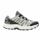 Кроссовки BEAMS x XA Pro 1 GTX Salomon, серый - фото