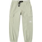 THE NORTH FACE Повседневные брюки для подростков Clay Gray - фото