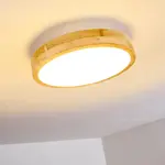 Потолочный светильник Hofstein - фото 12