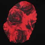 Толстовка мужская A Bathing Ape, серый - фото 4