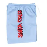 Шорты для плавания Santa Cruz Screaming wave, синий - фото 6