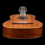 Акустическая гитара Family Series 1/2 Size Left-Handed Nylon Classical Guitar w/ Bag - фото