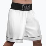 Тренировочные шорты для бокса Hayabusa Pro - фото 2
