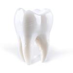 Виниловая пластинка LP Teething - Porij - фото