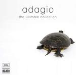 CD диск Adagio: Ultimate Collection / Various: Adagio: Ultimate Collection / Various - фото