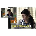 Фильтр Tiffen 77mm Digital Diffusion/FX 2 Filter W77DDFX2 - фото 2