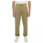 Спортивные брюки Dickies Mapleton, бежевый - фото