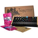 Синтезатор Pittsburgh Modular Taiga Analog Desktop Paraphonic TAIGA - фото