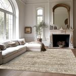 Ковер Soalmost Washable для гостиной, 366х275 см, коричневый - фото 2