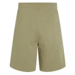 Спортивные шорты O´neill The Future Surf Society, бежевый - фото 2