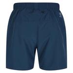 Шорты Dare2B Surrect, синий - фото 3