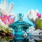 Спрей для тела Curious для женщин, Britney Spears - фото 2