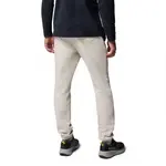 Брюки Columbia Trek, бежевый - фото 2