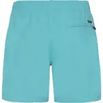 Мужские плавки Faster Protest, бирюзовый - фото 2