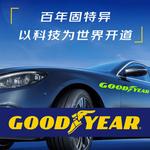 Goodyear Шины 255/60R19 109H Eagle TOUR - фото 2