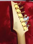 Ibanez JS2GD Джо Сатриани Signature Gold Boy - фото 22