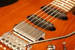 Schecter Traditional Van Nuys Gloss Natural Ash - фото 8