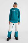 Oneill Брюки Blizzard harbour blue colour block S - фото 4