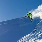 Лыжи Black Crows Anima Black Crows, Dark Green - фото 3