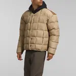 THE NORTH FACE Мужская куртка, цвет Brown - фото 5