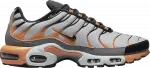 Кроссовки Nike Air Max Plus 'Wolf Grey Hot Curry', серый - фото