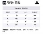 PALACE Футболка унисекс зеленая - фото 2