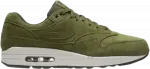 Кроссовки Nike Air Max 1 Premium 'Olive Canvas', зеленый - фото