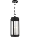 Уличный подвесной фонарь Sheridan 2 light Livex, black - фото