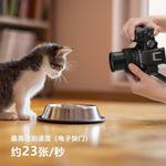 Фотоаппарат Canon EOS R10 - фото 4