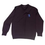 Свитер Billionaire V Neck, темно-фиолетовый - фото