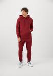Худи Björn Borg ESSENTIAL HOODIE, Pomegranate/Bordeaux - фото 2