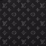 Сумка Speedy Bandouliere 20 черная LOUIS VUITTON - фото 6