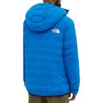 THE NORTH FACE Мужская куртка, цвет Blue - фото 4